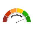 Metabolism level scale with arrow. The measuring device icon. Sign tachometer, speedometer, indicators. Infographic gauge element.