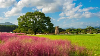 Wall Mural - TimeLapse 4k Cheomseongdae ancient observatory in the Gyeongju National Park. South Kore