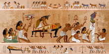 Ancient Egypt. Mummification Process. Egyptian Gods, Mythology. Hieroglyphic Carvings. History Wall Painting, Tomb King Tutankhamun. Concept Of A Next World. Anubis And Pharaoh Sarcophagus