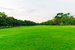 © themorningglory - Green grass field with tree in public park