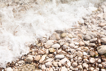 shore with stones