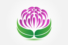 Logo Beautiful Lotus Flower Spa Massage Business Id Card