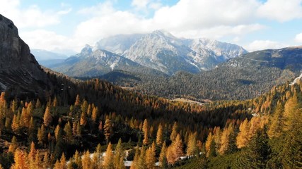 Canvas Print - Aerial Drone Footage View on autumn forest: Flight over yellow trees in alpine mountains, meadows and hills in sunset soft light. Majestic landscape and beauty world at 4K resolution.