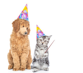 Poster - Dog and kitten wearing birthday`s hats. Cat points away on empty space. Isolated on white background