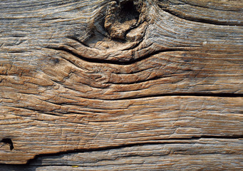 wood texture. background old panels, Abstract background,  empty template, closeup