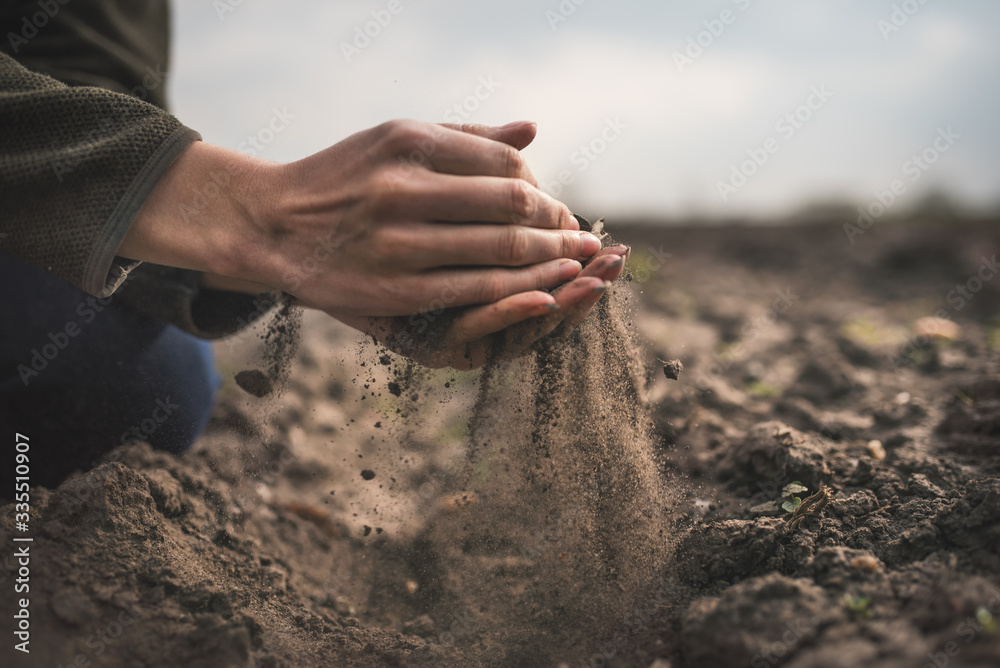 Female hands pouring a black soil in the field. Female agronomist testing a quality of soil. Concept of agriculture. - obrazy, fototapety, plakaty 
