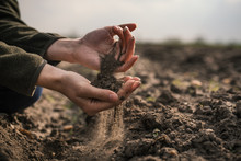 Female Hands Pouring A Black Soil In The Field. Female Agronomist Testing A Quality Of Soil. Concept Of Agriculture.