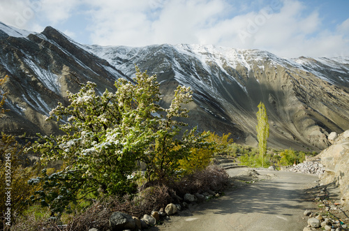 Fotografía Snow-capped trees and traditional houses in Shan Valley, in the dry mountain ran