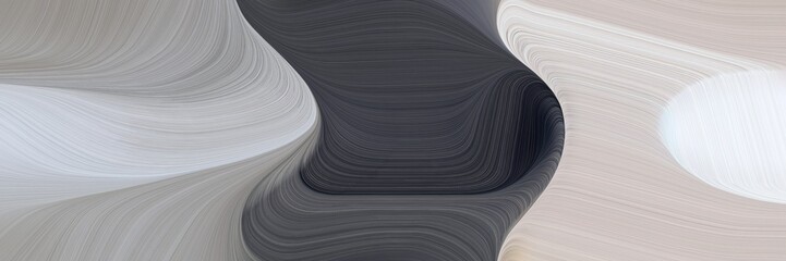 Poster - abstract dynamic curved lines decorative designed horizontal header with silver, dark slate gray and dim gray colors. elegant curved lines with fluid flowing waves and curves