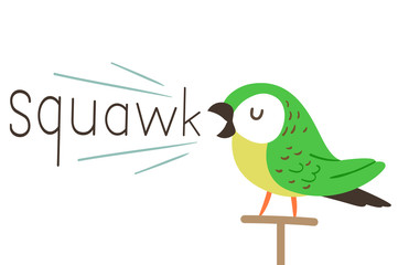 Poster - Parrot Onomatopoeia Sound Squawk Illustration