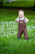 © Elena  - A charming boy among green grass and beautiful daisies on a summer day. The kid explores nature. The first steps of the baby on the grass. First independent steps.