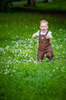 © Elena  - A charming boy among green grass and beautiful daisies on a summer day. The kid explores nature. The first steps of the baby on the grass. First independent steps.