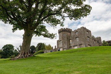 The wide-angle landscape shot of ancient Balloch Castle and a tree in Scotland, UK which was built on a hill in an early 19th century