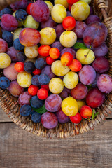 Sticker - variety of plums on wooden surface