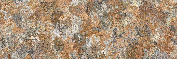 Wall Mural - Rusty metal texture.Steel corrosion background.Damaged old metal surface.