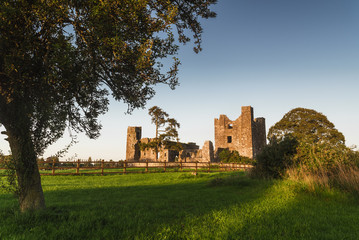 Wall Mural - bective abbey in ireland landscape