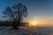 Mroźny wschód słońca, Wielopolski Park Narodowy, Polska
