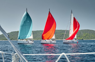 Sailboats compete in a sail regatta at sunset, view throug the ropes, race of sailboats, reflection of sails on water, multicolored spinnakers, island is on background, clear weather