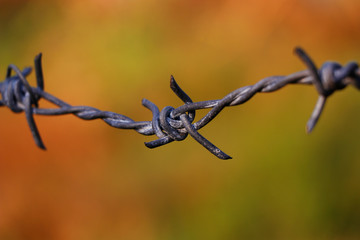 metal chain with spike for the fence for the safety and security purpose