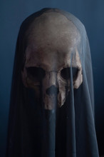 Skeleton Shrouded By A Black Veil