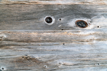 Detail of old wood texture