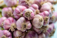 Close Up Bunch Of Fresh Garlic Bulb Preparing For Cooking, Food Ingredients