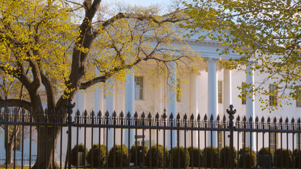 Wall Mural - Famous building in Washington DC - The White House