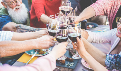 Happy family and friends cheering with red wine at barbecue dinner outdoor - Different age of people having fun at sunday meal - Food, toast and summer concept - Focus on tattooed arm