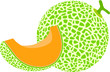 vector illustration of green melon