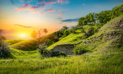 Wall Mural - green fields of grass