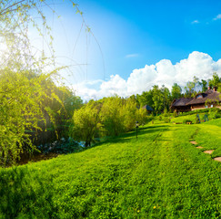 Wall Mural - beautiful green field