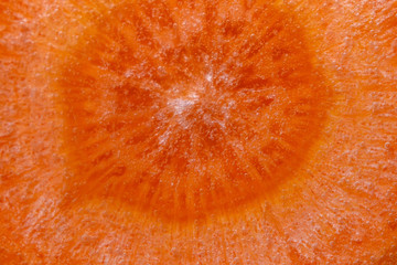 orange carrot slice. Close-up macro photography. the vegetables under the water in the water.