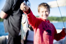 Child Holding A Fish He Just Caught From The Boat