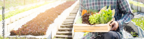 Cuadros en Lienzo Young asian man harvest and picking up fresh organic vegetable kitchen garden in basket in the hydroponic farm, agriculture for healthy food and business concept, banner website