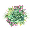 Watercolor composition with succulent plants and air plants, floral bouquet illustration isolated on white background. Natural floral illustration for design, print, fabric or background 