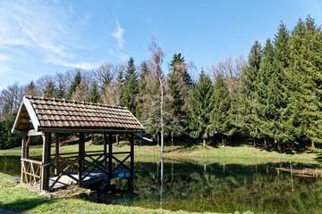 Wall Mural - étang de haute-saône