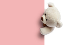 Adorable  Teddy Bear With Empty Space For Commercial Use