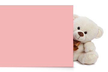 Wall Mural - Adorable  teddy bear with empty space for commercial use