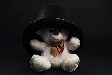 Wall Mural - white teddy bear on dark background. Diferent poses of toy bear