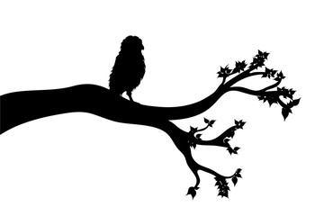 vector silhouette of branch with owl on white background. symbol of nature.