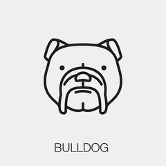 Poster - bulldog icon vector. Linear style sign for mobile concept and web design. bulldog symbol illustration. Pixel vector graphics - Vector. 