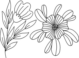 Vector drawing on a white background, flower in a linear style. For the design of wallpapers, phone cases, notebooks, coloring page, botanical illustrations