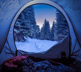 Wall Mural - View form tent to forest full of snow in Tatras