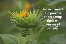 Inspirational Quote - Fall In Love With The Process Of Becoming The Best Version Of Yourself. With Young Green Sunflower Plant Background. Motivational Words With Nature Flower In Process To Bloom.