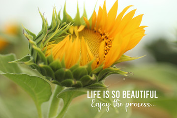 Wall Mural - Inspirational quote - Life is so beautiful. Enjoy the process. With beautiful big sunflower in bloom in the garden closeup on blurry background. Motivational words concept with nature flower blossom.