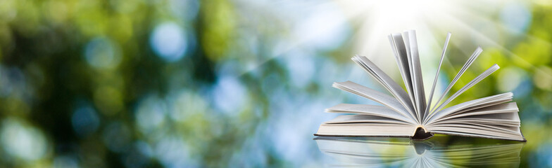Wall Mural - abstract image of an open book closeup