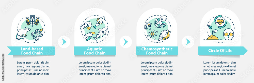 Food chain vector infographic template. Biological process ...