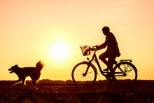 Senior Woman Riding Bike And Dog Running In Front, Silhouette Of Riding Person At Sunset With Pet
