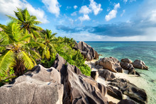 Palm Trees And Rocks On The Tropical Island Of La Digue, Seychelles, Africa