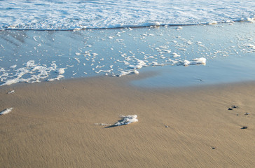 Wall Mural - sea foam. foam on a beach